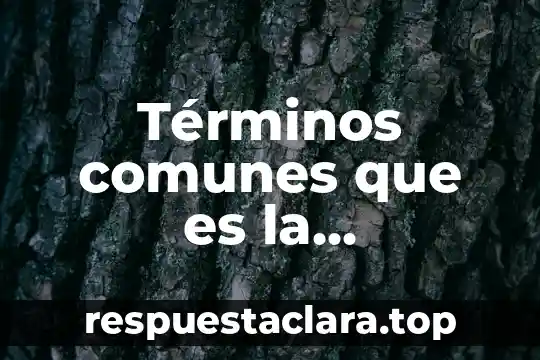 Términos comunes que es la temperatura