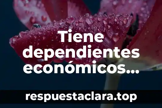 Tiene dependientes económicos que es