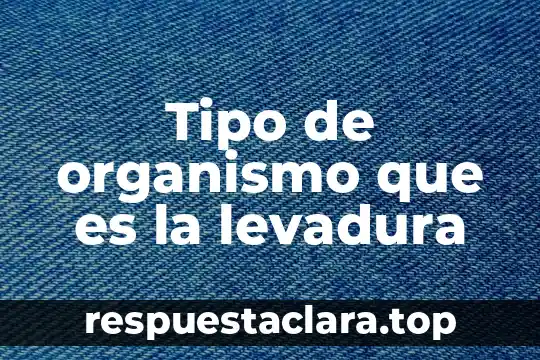 Tipo de organismo que es la levadura