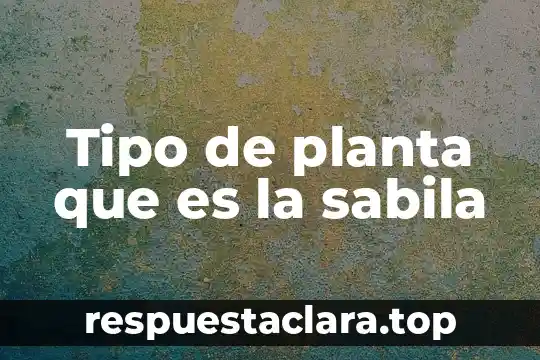 Que es la planta medicinal cola de caballo 7 Tipo de planta que es la sabila