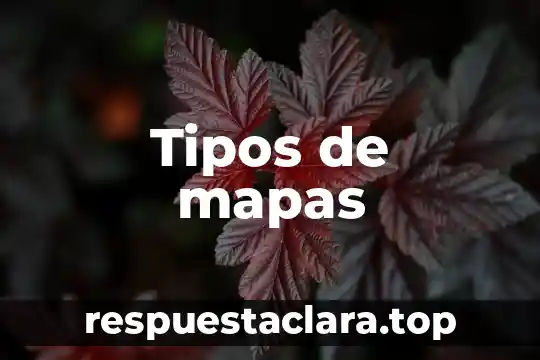 Tipos de mapas
