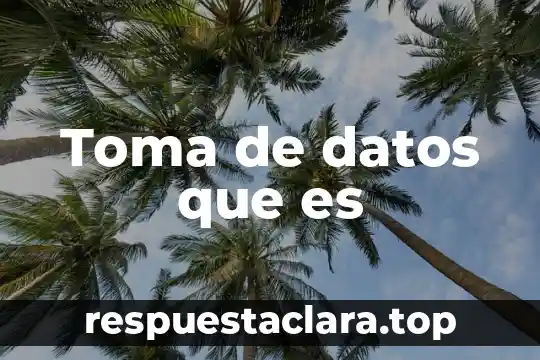 Toma de datos que es