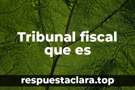 Tribunal fiscal que es
