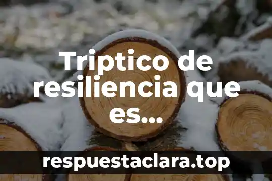 Que es triptico diccionario griego 4 Triptico de resiliencia que es caracteristicas como ser resiliente