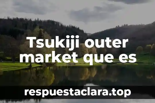 Tsukiji outer market que es