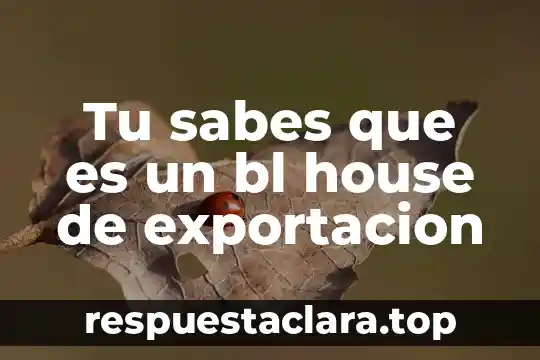 Que es una planta que refeje tu alma 3 Tu sabes que es un bl house de exportacion