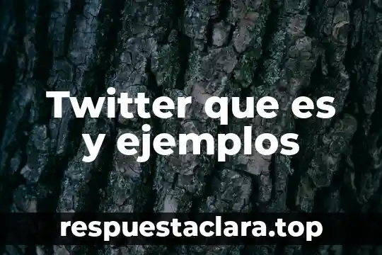 Qué es planta perenne ejemplos 4 Twitter que es y ejemplos