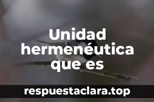 Unidad hermenéutica que es