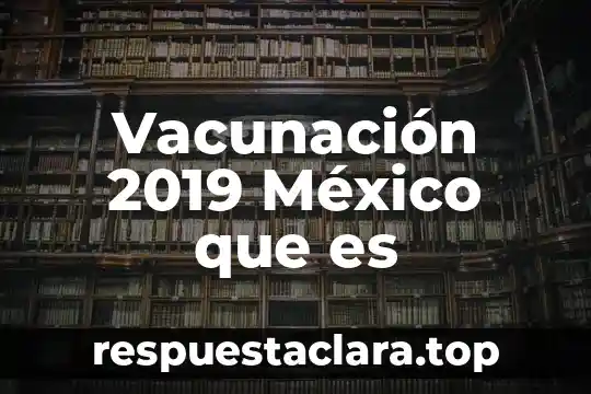 Qué es el festival domination méxico 2019 3 Vacunación 2019 México que es