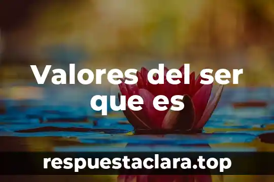 Qué es la justicia para niños 6 Valores del ser que es