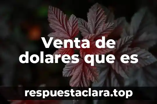 Que es venta prepago 5 Venta de dolares que es