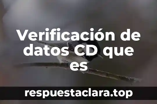 Verificación de datos CD que es
