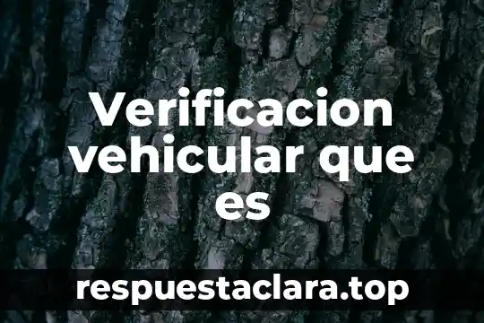 Verificacion vehicular que es