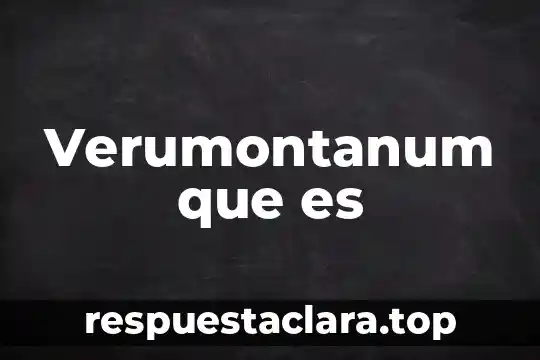 Verumontanum que es