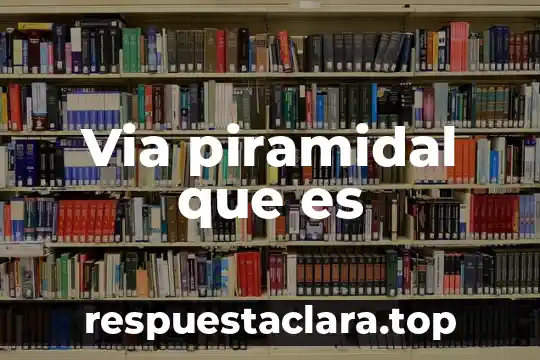 Via piramidal que es