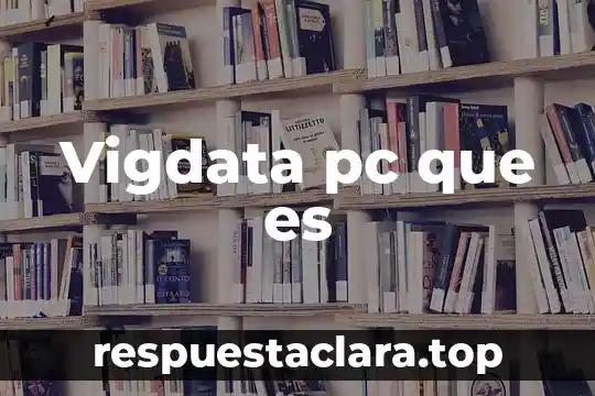 Que es significa autoridades 7 Vigdata pc que es