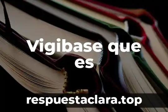 Vigibase que es