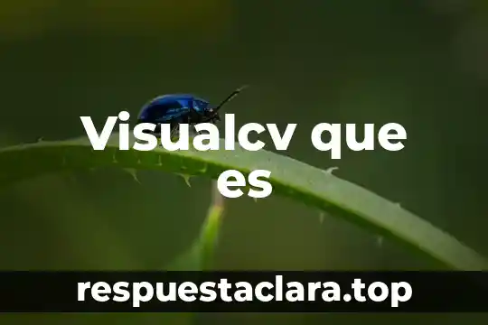 Visualcv que es