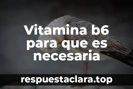 Vitamina b6 para que es necesaria