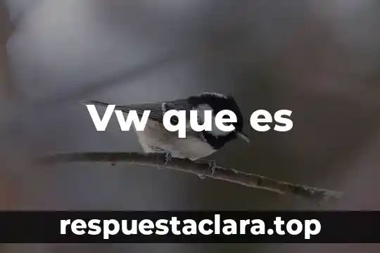 Vw que es