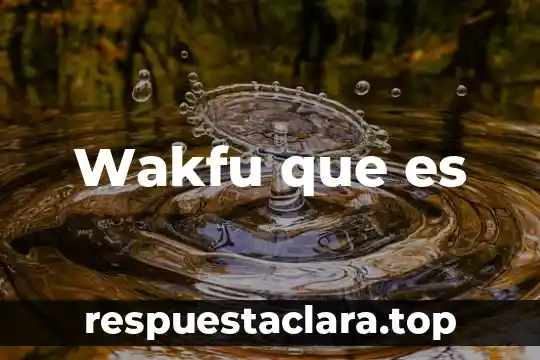 Wakfu que es