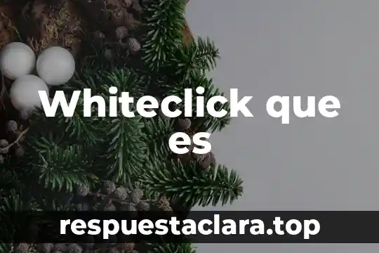 Whiteclick que es