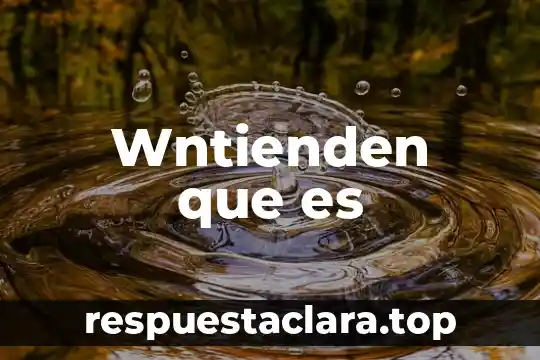 Wntienden que es