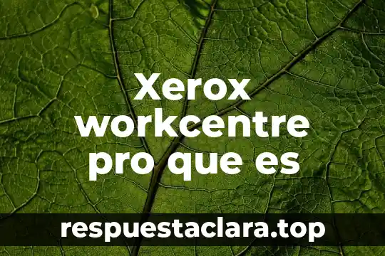 Que es la fase de compuesto organico 6 Xerox workcentre pro que es
