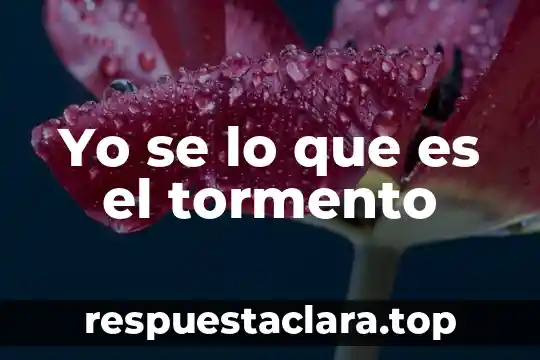 Yo se lo que es el tormento