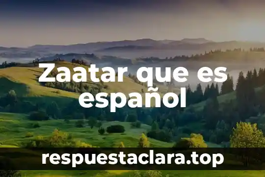 Que es salicylic acid en español 5 Zaatar que es español