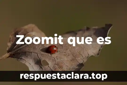 Zoomit que es